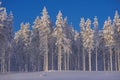 Winter in Lapland, Sweden, Norrbotten Royalty Free Stock Photo