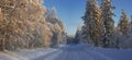 Winter in Lapland, Sweden, Norrbotten Royalty Free Stock Photo
