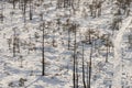 Wintertime landscape from viewing platform with snowy wooden pathway in swamp Royalty Free Stock Photo