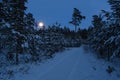 Moonset observing over forest