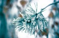 Winter leaves in the frost. Abstract background Royalty Free Stock Photo