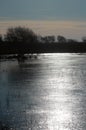 Winter at Leighton Moss nature reserve