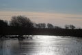 Winter at Leighton Moss nature reserve