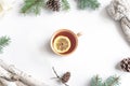 Winter lemon tea Royalty Free Stock Photo