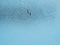 Winter light blue tinted background or wallpaper. A small pattern of ice crystals or frost on a window pane. Abstract Christmas or Royalty Free Stock Photo