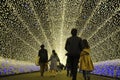 Winter Light Illumination Tunnel show. Royalty Free Stock Photo