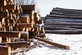 Winter logging of coniferous timber in the forest Royalty Free Stock Photo