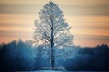 Winter lone tree