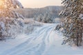 Winter, lonely, impassable snow-covered road leading into the forest. Winter landscape, sun rays, snow-covered trees Royalty Free Stock Photo