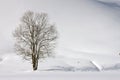 Winter lonelyness Royalty Free Stock Photo