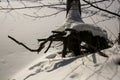 Winter with lots of snow in Russian forest