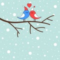 Winter love birds on a branch