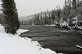 Winter Madison River Yellowstone Royalty Free Stock Photo