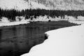 Winter Madison River Yellowstone Royalty Free Stock Photo