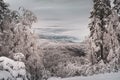 Winter magic in Carpathian Mountains, Azuga, Romania Royalty Free Stock Photo
