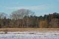 Winter marsh landscape covered in snow with bare an evergreen trees on a cold winter day Royalty Free Stock Photo