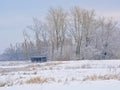 Winter marsh landscape covered in snow with bare trees and a birdt watching hut Royalty Free Stock Photo