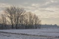 Winter marsh landscape covered in snow with bare trees on a cloudy evening sky Royalty Free Stock Photo