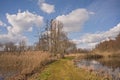 Winter marsh landscape with reed and bare trees in the Flemish countryside Royalty Free Stock Photo