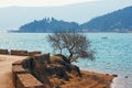 Winter Mediterranean landscape. Blue silhouettes. Montenegro. View of coast of Kotor Bay near Verige Strait