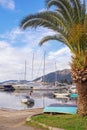 Winter Mediterranean landscape. Coast of Kotor Bay. Montenegro, Tivat