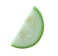 Winter melon slice cut half isolated white background with clipping path Royalty Free Stock Photo