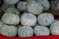 Winter Melon, White Gourd, Winter Gourd, Ash Gourd,Benincasa his