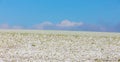 Winter minimalist landscape with snowy field Royalty Free Stock Photo