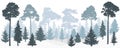Winter misty forest fir trees, pines silhouette, panorama. Royalty Free Stock Photo