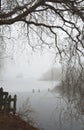 Winter misty morning scenery Royalty Free Stock Photo