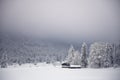 Winter mood with deep fog in forest clearing with old wooden hut Royalty Free Stock Photo