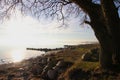 Winter mood on the lovey beach in February