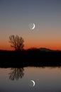 Winter Moon and Lone Tree Royalty Free Stock Photo