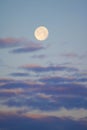 Winter Moon Setting Royalty Free Stock Photo