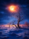 winter moonlight photorealistic smooth color