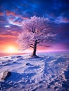 winter moonlight photorealistic smooth color