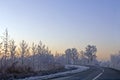 Winter morning Royalty Free Stock Photo
