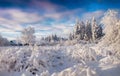 Winter morning in the Carpathian village. Sunny winter morning. Royalty Free Stock Photo