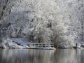Winter morning enchantment under the woods with the trees covered by ice and snow by the pond, with a wooden dock