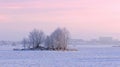 Winter morning or evening near city . Trees on a snowy field Royalty Free Stock Photo