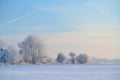 Winter morning or evening near city . Trees on a snowy field Royalty Free Stock Photo