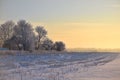 Winter morning or evening near city . Trees on a snowy field Royalty Free Stock Photo