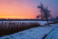 Winter morning from Hungary