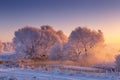 Winter morning landscape Royalty Free Stock Photo