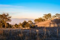 A winter morning landscape in Mulligans Flat Nature Reserve, Australian Capital Territory