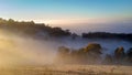 A winter morning landscape in Mulligans Flat Nature Reserve, Australian Capital Territory