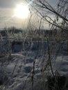 Winter landscape. The sun behind the trees near the lake. Royalty Free Stock Photo