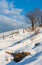 Winter morning scenery picturesque mountain rural snow covered path and footprint Ukraine, Carpathian Mountains, tranquility