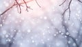 Winter morning snowfall, with bare branches, and snowflakes Royalty Free Stock Photo