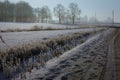 Early winter, cold misty morning Royalty Free Stock Photo